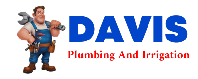 Trusted plumber in NEMO